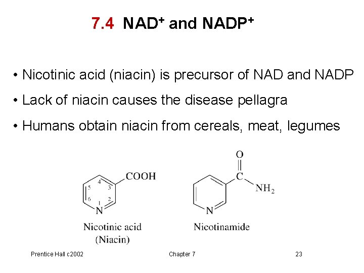 7. 4 NAD+ and NADP+ • Nicotinic acid (niacin) is precursor of NAD and