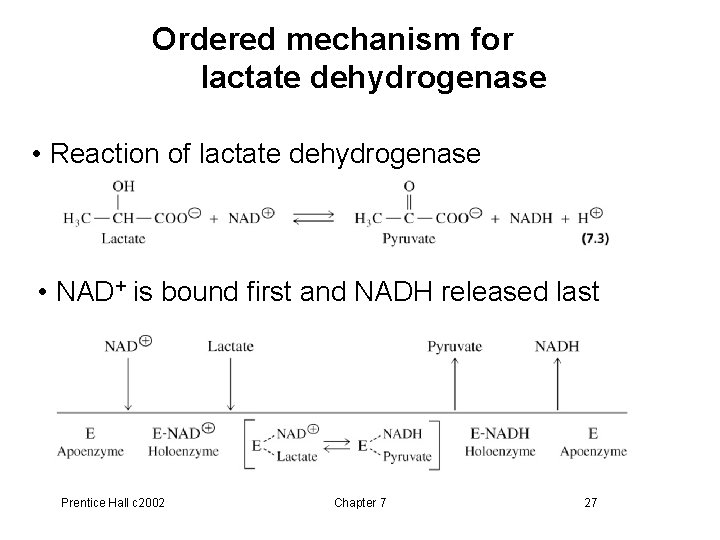Ordered mechanism for lactate dehydrogenase • Reaction of lactate dehydrogenase • NAD+ is bound