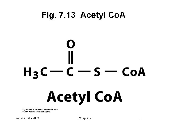 Fig. 7. 13 Acetyl Co. A Prentice Hall c 2002 Chapter 7 35 