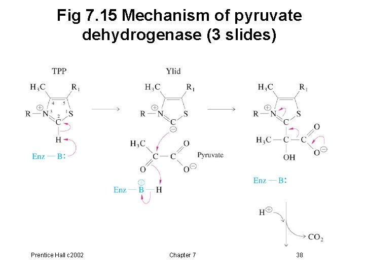 Fig 7. 15 Mechanism of pyruvate dehydrogenase (3 slides) Prentice Hall c 2002 Chapter