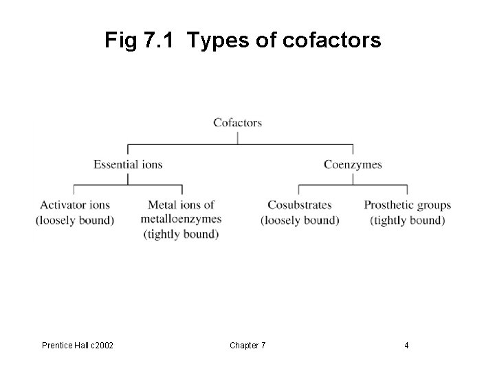 Fig 7. 1 Types of cofactors Prentice Hall c 2002 Chapter 7 4 