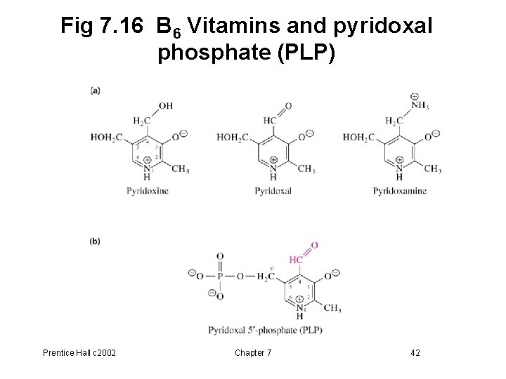 Fig 7. 16 B 6 Vitamins and pyridoxal phosphate (PLP) Prentice Hall c 2002