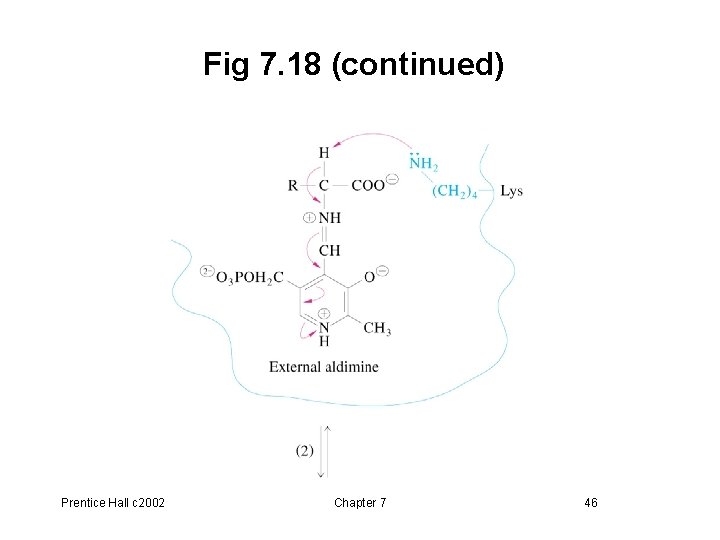 Fig 7. 18 (continued) Prentice Hall c 2002 Chapter 7 46 