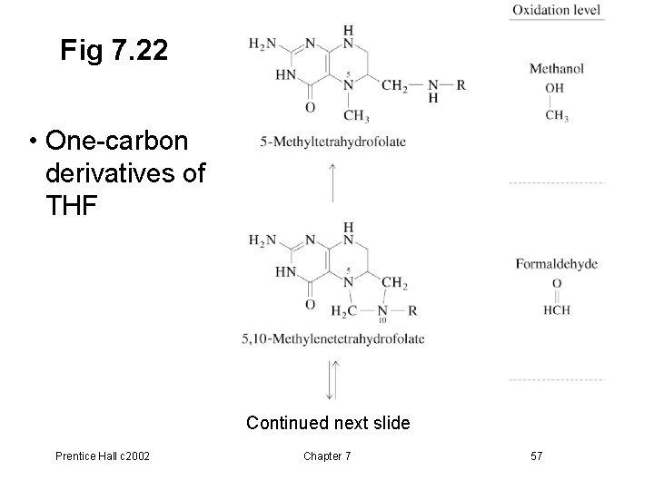 Fig 7. 22 • One-carbon derivatives of THF Continued next slide Prentice Hall c