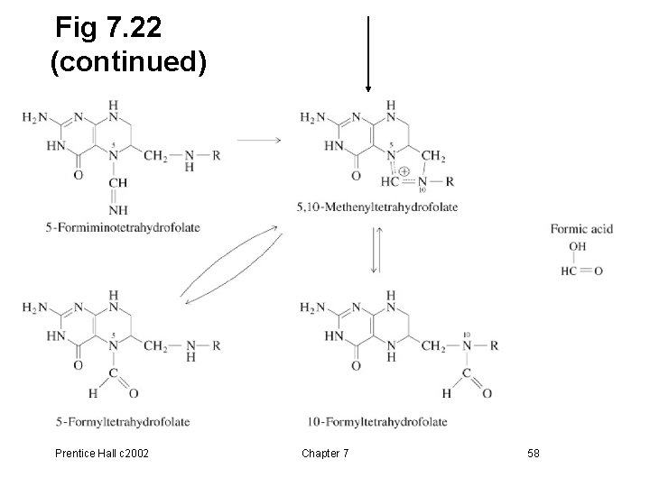 Fig 7. 22 (continued) Prentice Hall c 2002 Chapter 7 58 