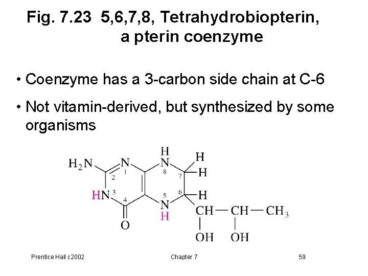 Fig. 7. 23 5, 6, 7, 8, Tetrahydrobiopterin, a pterin coenzyme • Coenzyme has