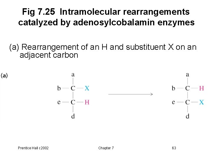 Fig 7. 25 Intramolecular rearrangements catalyzed by adenosylcobalamin enzymes (a) Rearrangement of an H