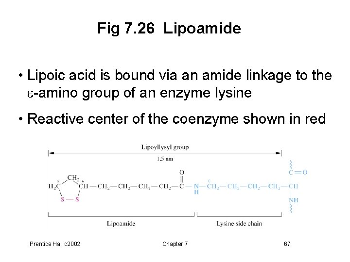 Fig 7. 26 Lipoamide • Lipoic acid is bound via an amide linkage to