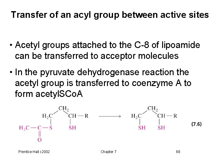 Transfer of an acyl group between active sites • Acetyl groups attached to the