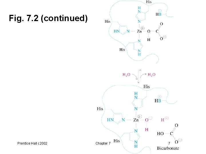 Fig. 7. 2 (continued) Prentice Hall c 2002 Chapter 7 7 