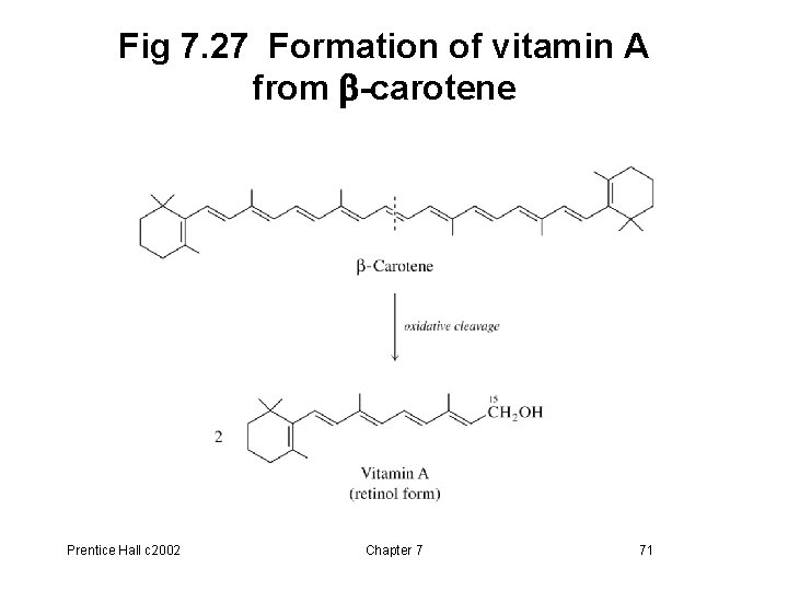 Fig 7. 27 Formation of vitamin A from b-carotene Prentice Hall c 2002 Chapter