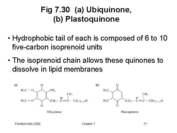 Fig 7. 30 (a) Ubiquinone, (b) Plastoquinone • Hydrophobic tail of each is composed