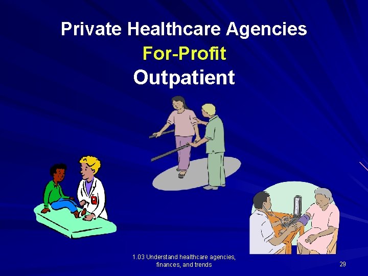 Private Healthcare Agencies For-Profit Outpatient 1. 03 Understand healthcare agencies, finances, and trends 29