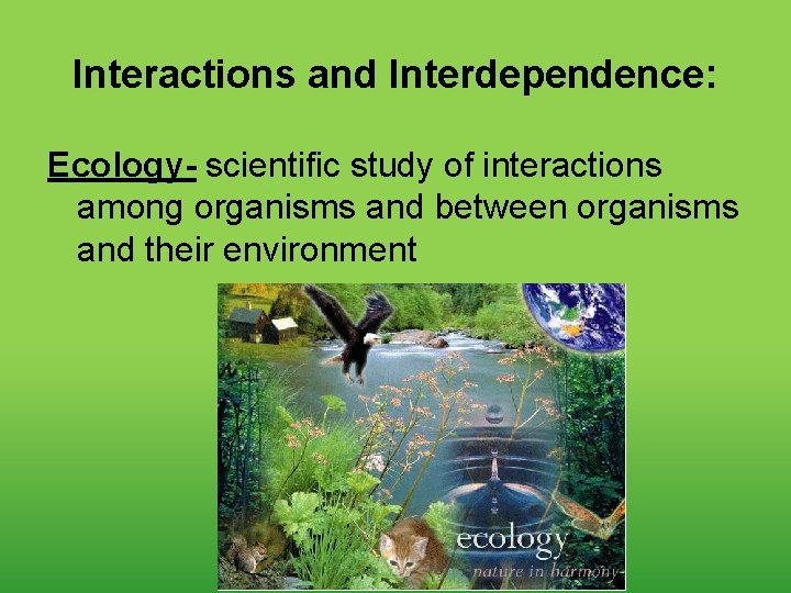 Interactions and Interdependence: Ecology- scientific study of interactions among organisms and between organisms and