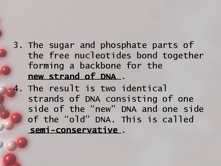 3. The sugar and phosphate parts of the free nucleotides bond together forming a