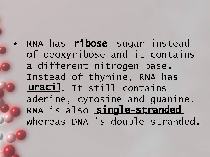  • RNA has _______ ribose sugar instead of deoxyribose and it contains a