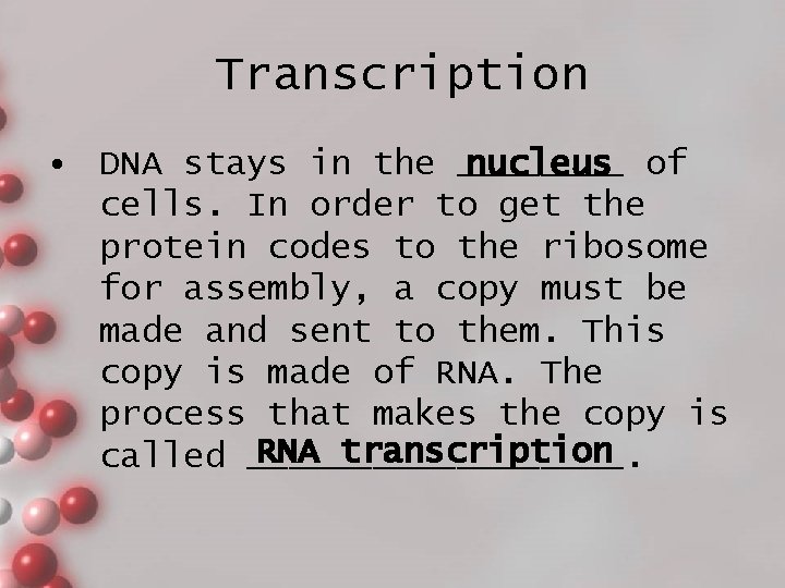 Transcription • DNA stays in the ____ nucleus of cells. In order to get
