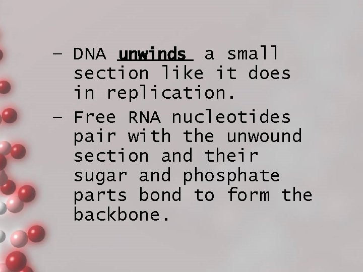 unwinds a small – DNA _______ section like it does in replication. – Free