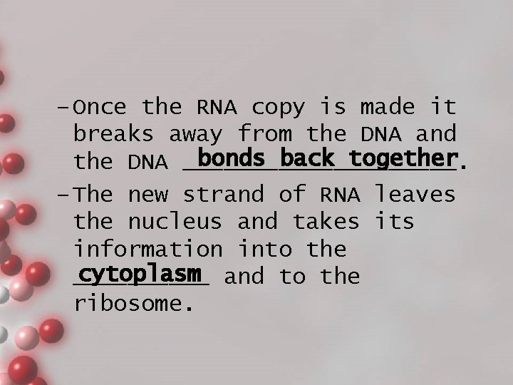 – Once the RNA copy is made it breaks away from the DNA and