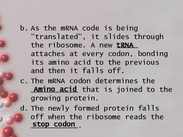 b. As the m. RNA code is being “translated”, it slides through the ribosome.