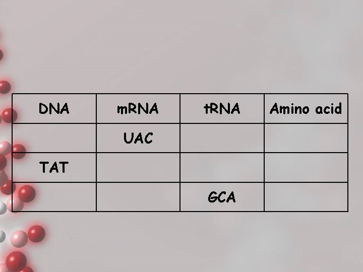 DNA m. RNA t. RNA Amino acid UAC TAT GCA 