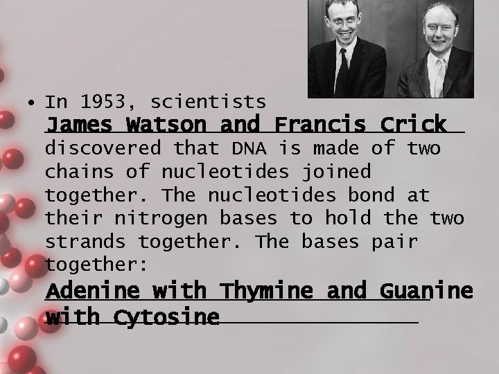  • In 1953, scientists __________________ James Watson and Francis Crick discovered that DNA