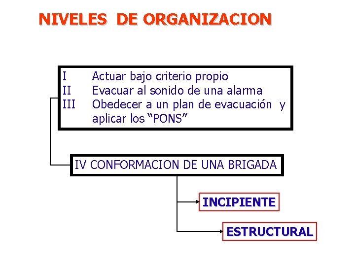 NIVELES DE ORGANIZACION I II III Actuar bajo criterio propio Evacuar al sonido de