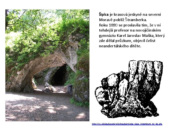 Šipka je krasová jeskyně na severní Moravě poblíž Štramberka. Roku 1880 se proslavila tím,