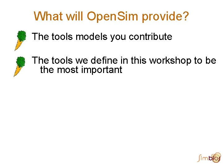 What will Open. Sim provide? The tools models you contribute The tools we define