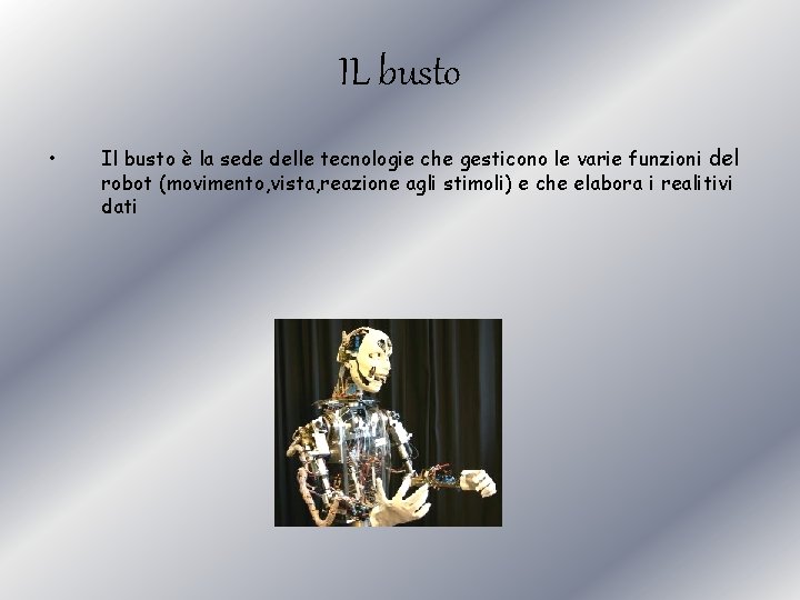 IL busto • Il busto è la sede delle tecnologie che gesticono le varie