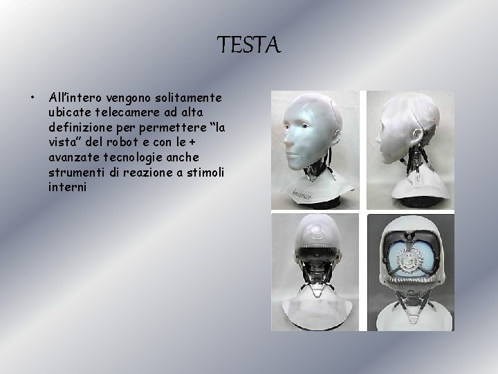 TESTA • All’intero vengono solitamente ubicate telecamere ad alta definizione permettere “la vista” del
