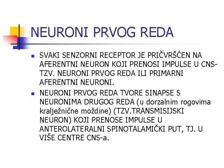 NEURONI PRVOG REDA n n SVAKI SENZORNI RECEPTOR JE PRIČVRŠĆEN NA AFERENTNI NEURON KOJI