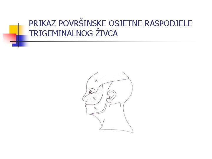 PRIKAZ POVRŠINSKE OSJETNE RASPODJELE TRIGEMINALNOG ŽIVCA 