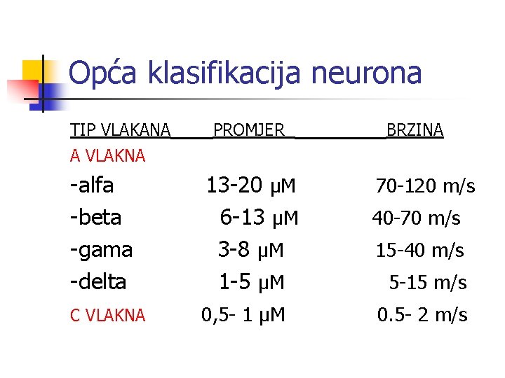 Opća klasifikacija neurona TIP VLAKANA PROMJER BRZINA A VLAKNA -alfa -beta -gama -delta 13