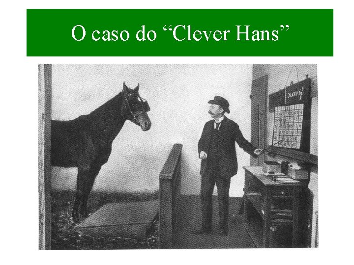 O caso do “Clever Hans” 