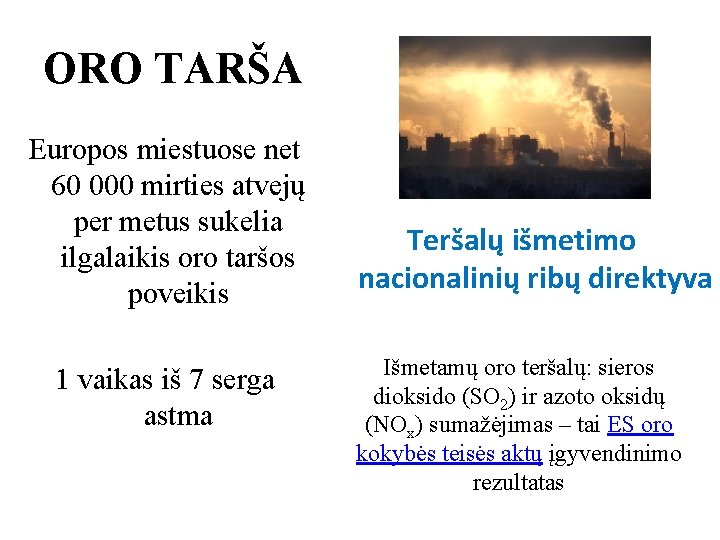 ORO TARŠA Europos miestuose net 60 000 mirties atvejų per metus sukelia ilgalaikis oro