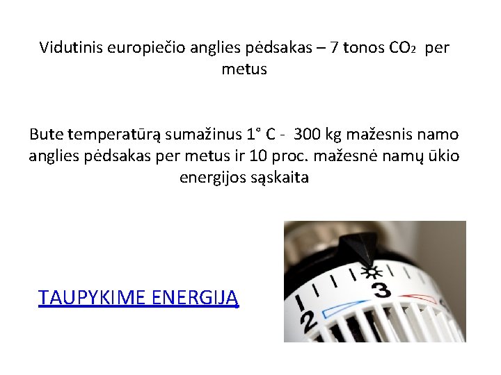 Vidutinis europiečio anglies pėdsakas – 7 tonos CO 2 per metus Bute temperatūrą sumažinus