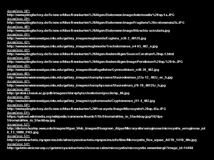 Διαφάνεια 38η: http: //www. plingfactory. de/Science/Atlas/Kennkarten%20 Algen/Diatomeen/image/Asterionella%20 sp. 1 a. JPG Διαφάνεια 39η: http: