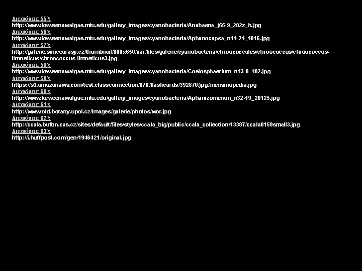 Διαφάνεια 55η: http: //www. keweenawalgae. mtu. edu/gallery_images/cyanobacteria/Anabaena_j 55 -9_202 z_h. jpg Διαφάνεια 56η: http: