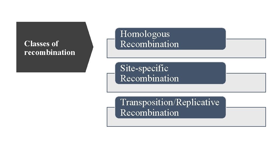 Classes of recombination Homologous Recombination Site-specific Recombination Transposition/Replicative Recombination 