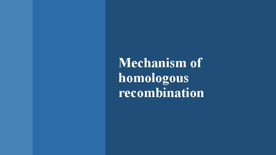 Mechanism of homologous recombination 