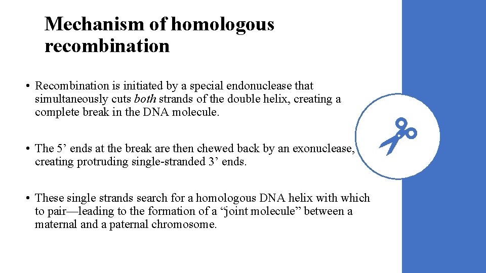 Mechanism of homologous recombination • Recombination is initiated by a special endonuclease that simultaneously