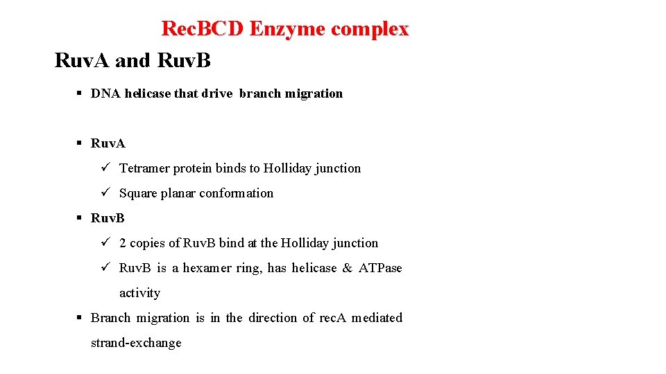 Rec. BCD Enzyme complex Ruv. A and Ruv. B § DNA helicase that drive