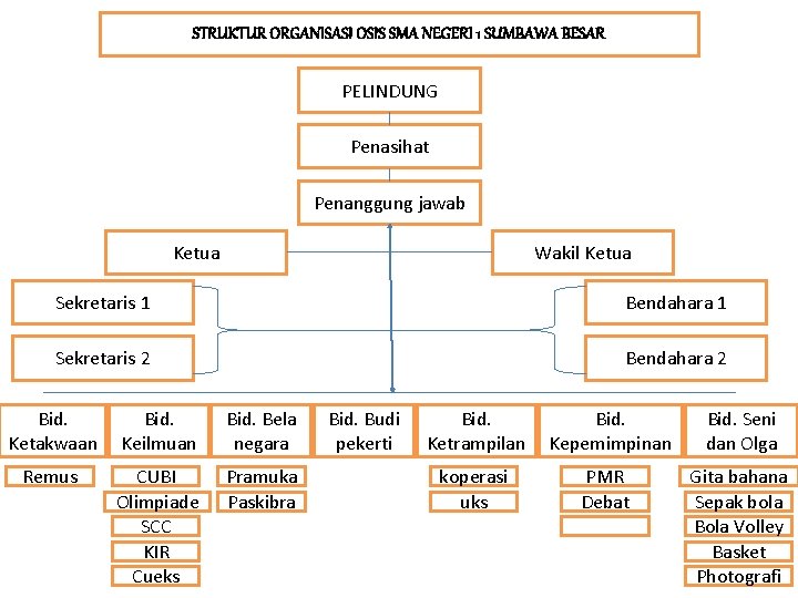 STRUKTUR ORGANISASI OSIS SMA NEGERI 1 SUMBAWA BESAR PELINDUNG Penasihat Penanggung jawab Ketua Wakil