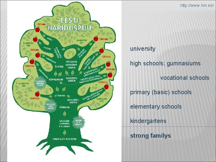 http: //www. hm. ee/ university high schools; gumnasiums vocational schools primary (basic) schools elementary