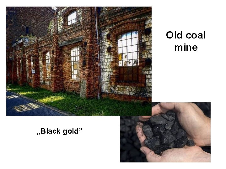 Old coal mine „Black gold” 