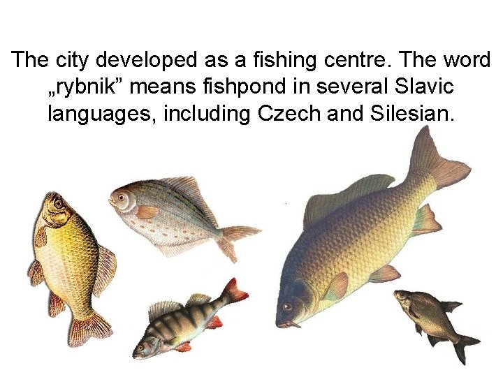 The city developed as a fishing centre. The word „rybnik” means fishpond in several