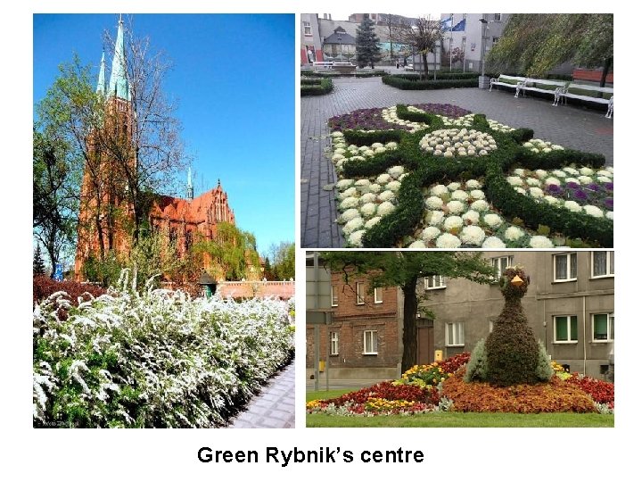 Green Rybnik’s centre 