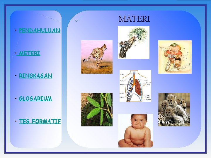 MATERI • PENDAHULUAN • METERI • RINGKASAN • GLOSARIUM • TES FORMATIF 