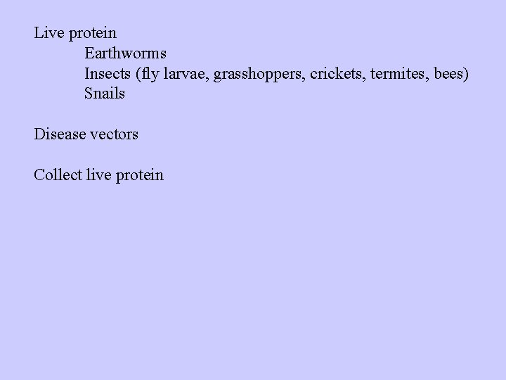 Live protein Earthworms Insects (fly larvae, grasshoppers, crickets, termites, bees) Snails Disease vectors Collect